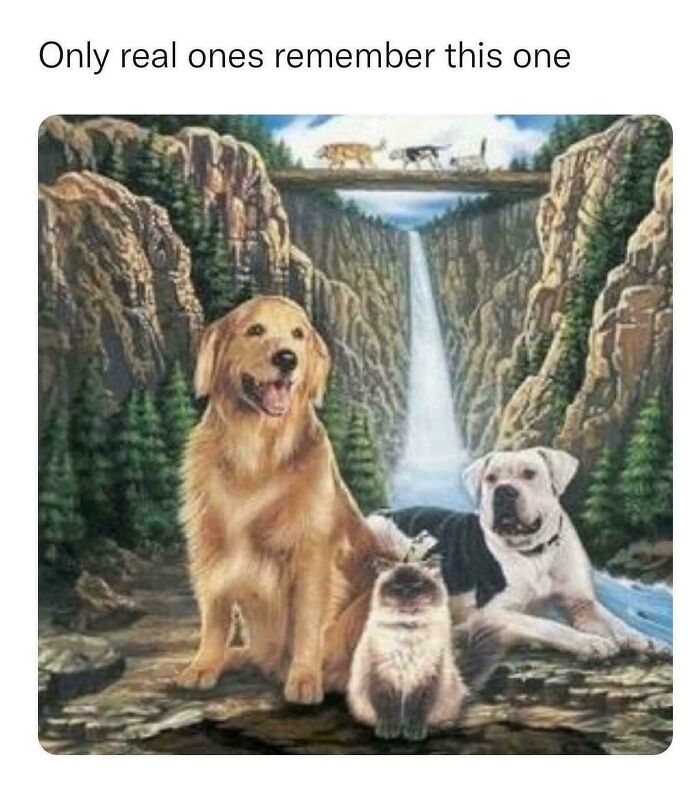 Anyone Else Totally Nostalgic?