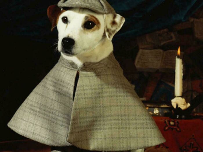 Remember Wishbone? Of Course You Do!