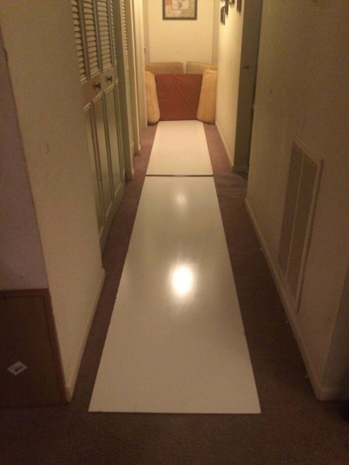 The Wildest "Welcome to College" Moments You Won't Believe Actually Happened