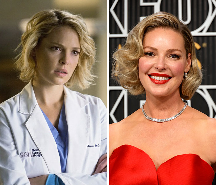 Katherine Heigl’s Not-So-Grey Missing Link