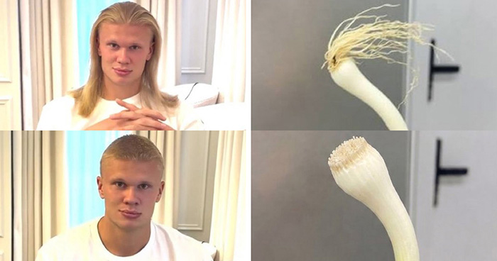 Wait, Erling Haaland Cut His Iconic Hair and the Internet Lost It! Check Out These Hilarious Reactions