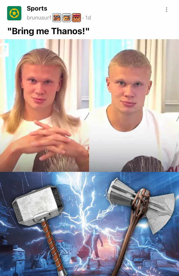 Dandelion Hair?