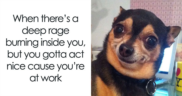Wait, They Actually Nailed These Doggo Moments In Memes!