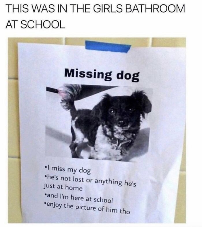 Wait, They Actually Nailed These Doggo Moments In Memes!