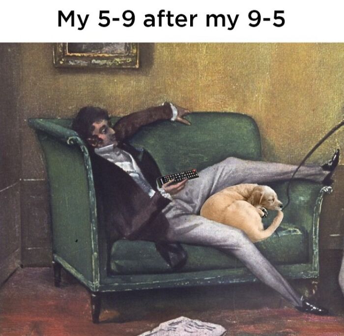 Wait, They Actually Nailed These Doggo Moments In Memes!
