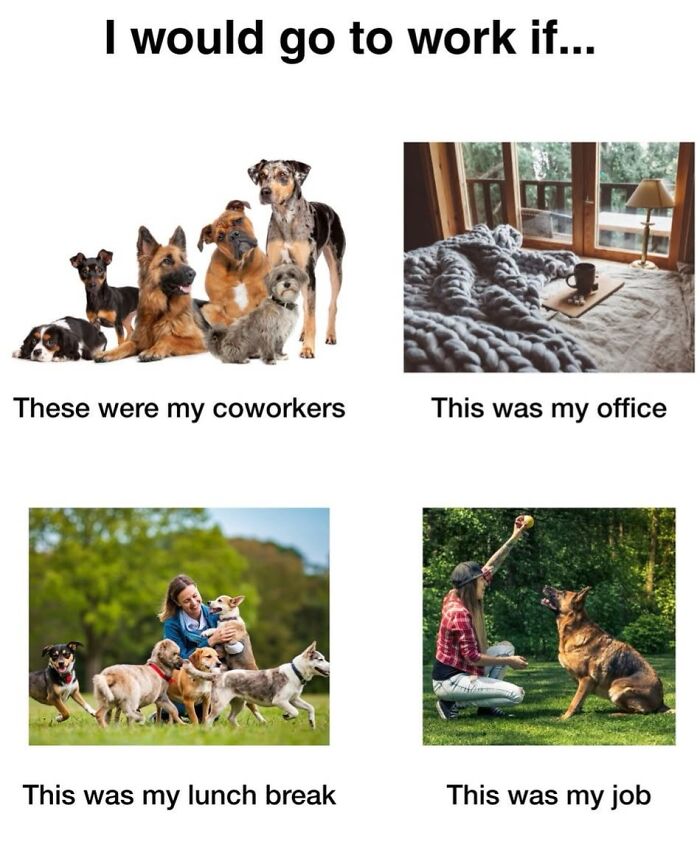 Wait, They Actually Nailed These Doggo Moments In Memes!