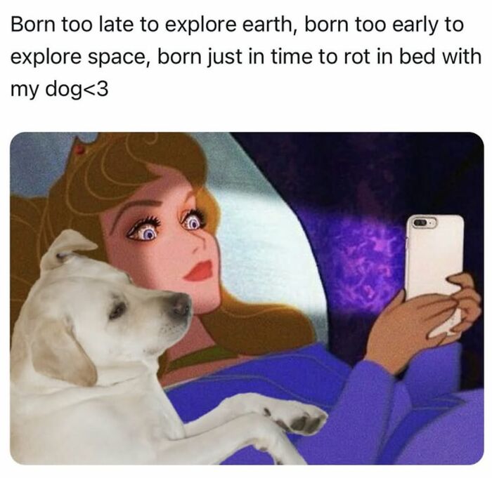 Wait, They Actually Nailed These Doggo Moments In Memes!
