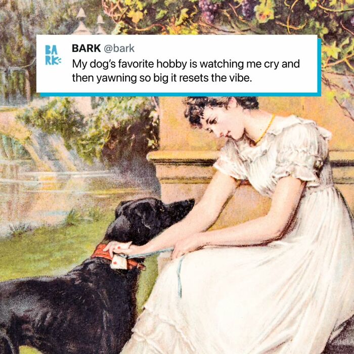 Wait, They Actually Nailed These Doggo Moments In Memes!