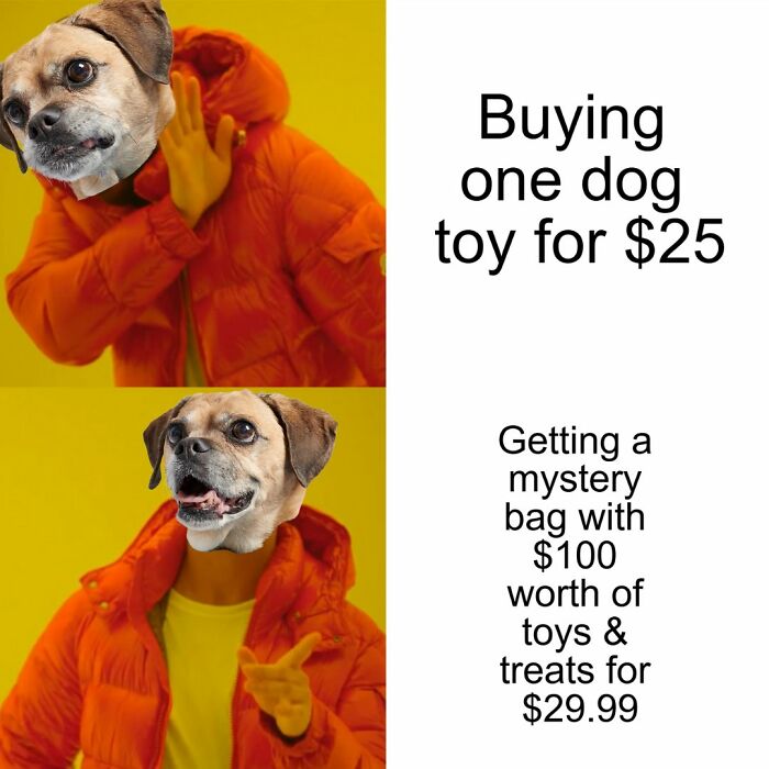 Wait, They Actually Nailed These Doggo Moments In Memes!