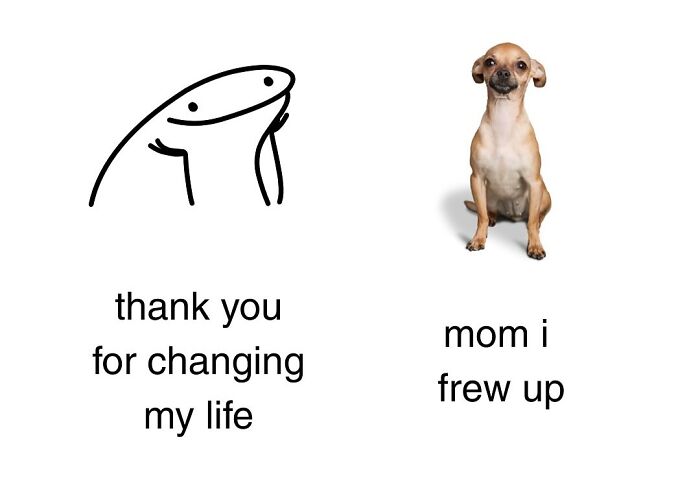 Wait, They Actually Nailed These Doggo Moments In Memes!