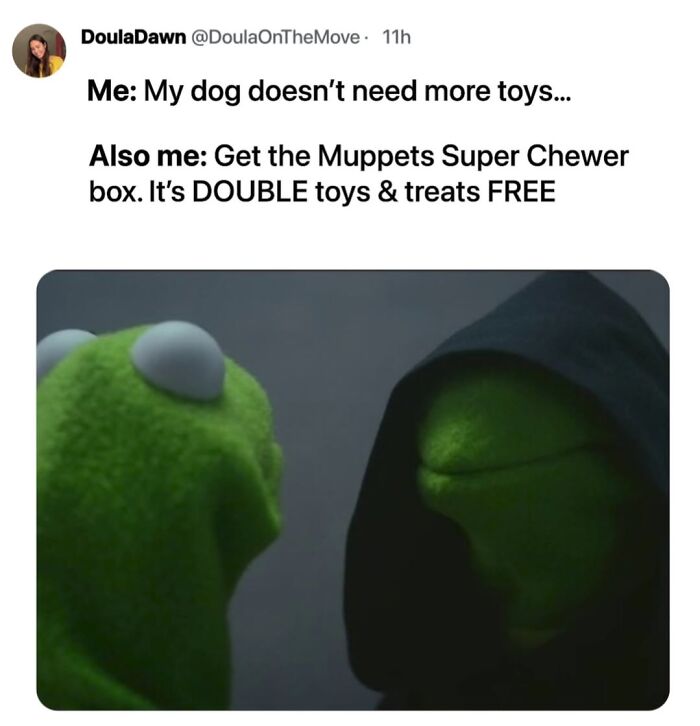 Wait, They Actually Nailed These Doggo Moments In Memes!