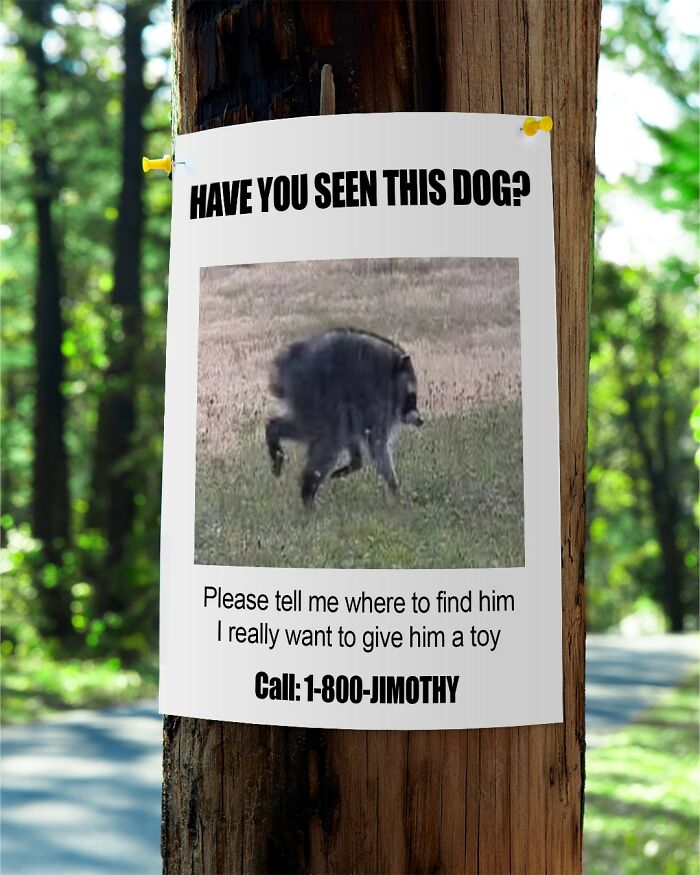 Wait, They Actually Nailed These Doggo Moments In Memes!