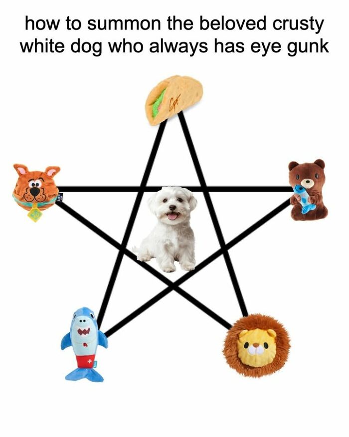 Wait, They Actually Nailed These Doggo Moments In Memes!