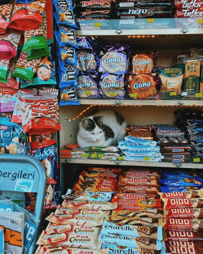 Wait Till You See These 58 Crazy Perfect Street Photos!