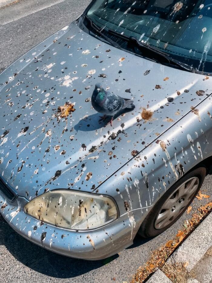 Wait Till You See These 58 Crazy Perfect Street Photos!