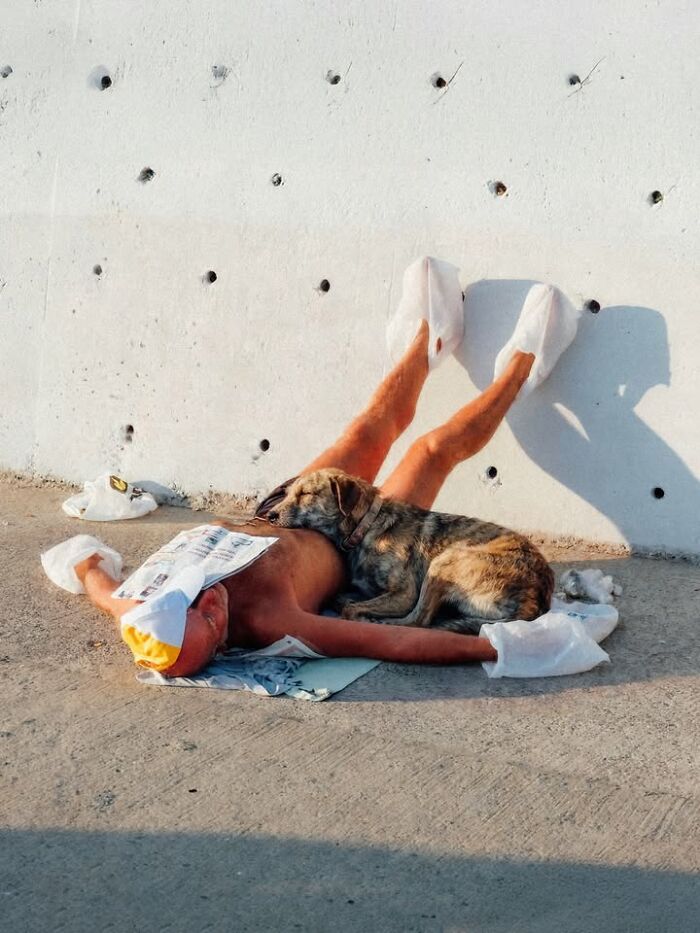 Wait Till You See These 58 Crazy Perfect Street Photos!