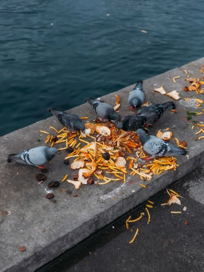 Wait Till You See These 58 Crazy Perfect Street Photos!
