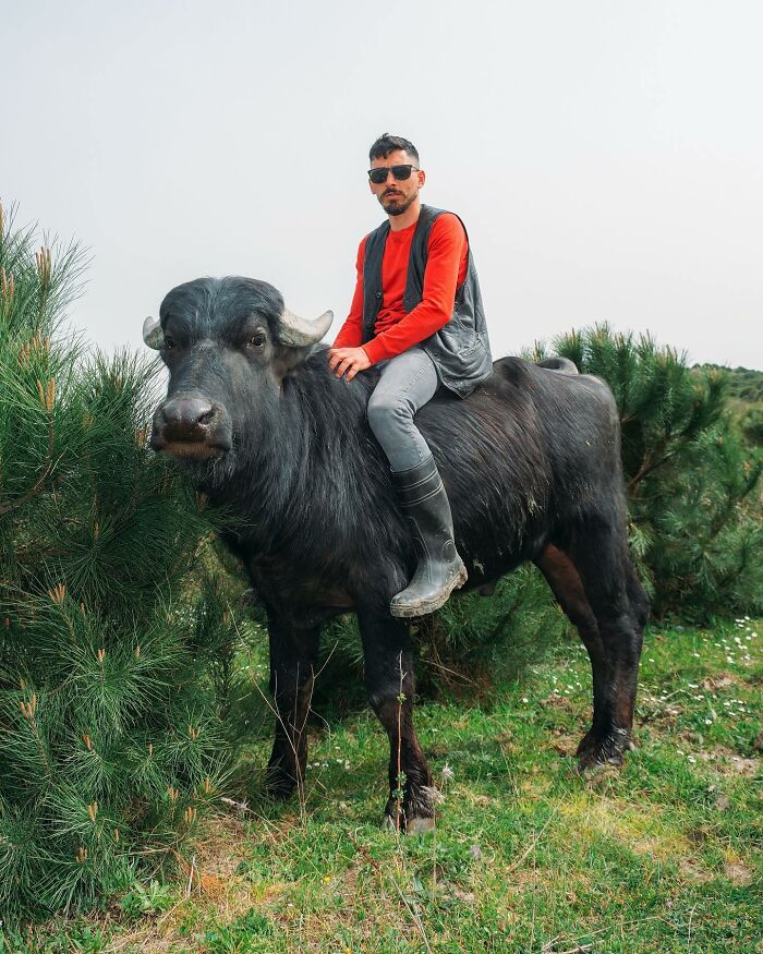 Wait Till You See These 58 Crazy Perfect Street Photos!