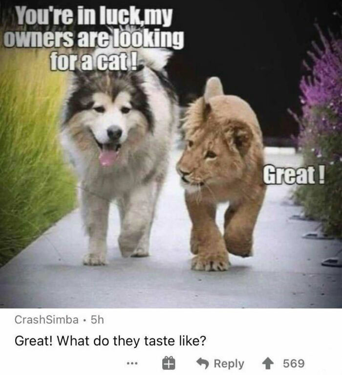 33 Hilariously Spot-On Insults That'll Make You Laugh (Maybe Cry a Little)