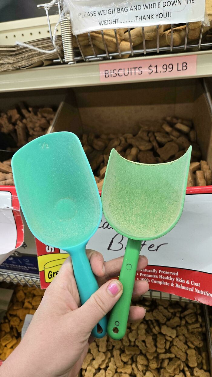 Dog Treat Scooper—So Many Treats, So Many Scoops