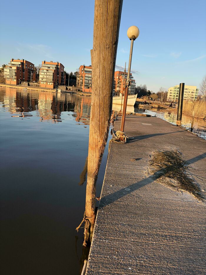 Wooden Pole Shaved Down to 1/3 Thanks to Dock Slammin’