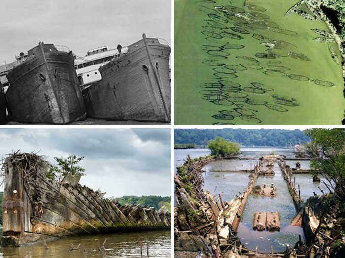 Mallows Bay’s Ghost Fleet: Hundreds of Shipwrecks Resting in Shallow Waters