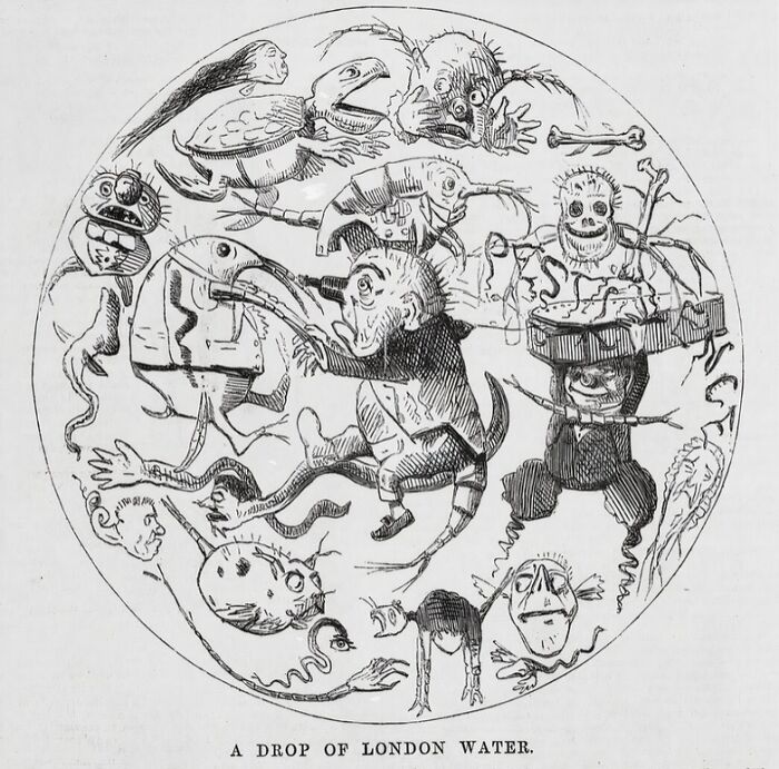 A Drop Of London Water, 1850 — The Gross Party Guest