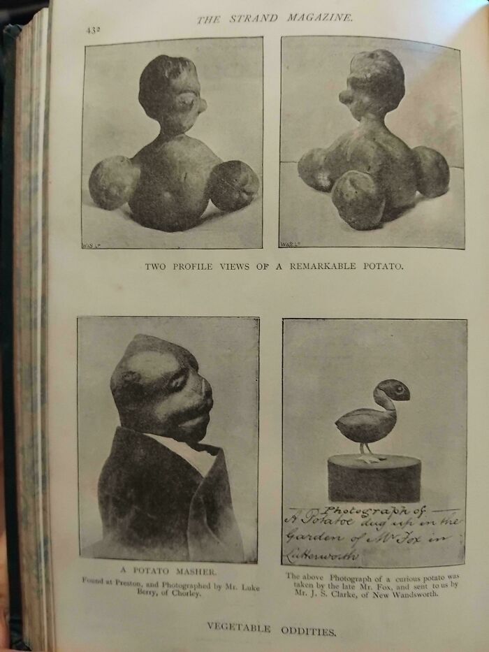 Weirdest Victorian Figurine Head Ever Found — Say Hello to Tom Sawyer!