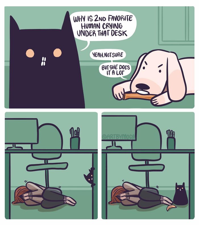 Meet Shadowfang: The Drama Queen Cat Who Turns Everyday Life Into A Comedy Show
