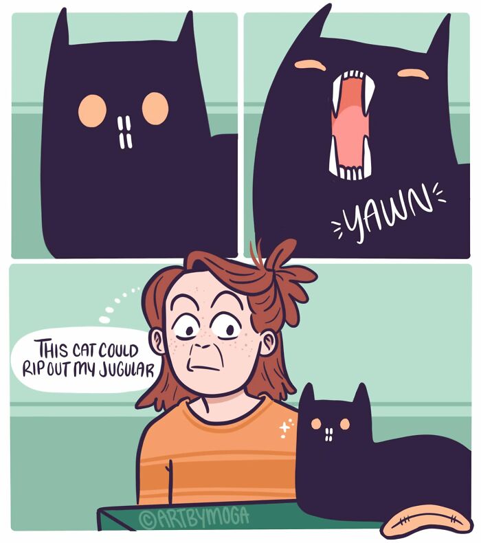 Meet Shadowfang: The Drama Queen Cat Who Turns Everyday Life Into A Comedy Show