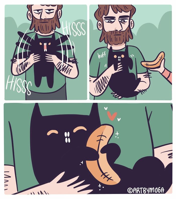 Meet Shadowfang: The Drama Queen Cat Who Turns Everyday Life Into A Comedy Show