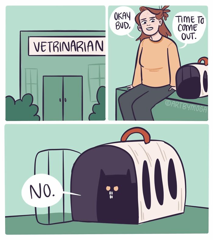 Meet Shadowfang: The Drama Queen Cat Who Turns Everyday Life Into A Comedy Show