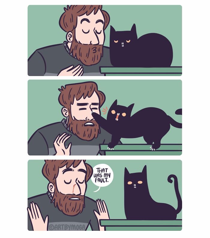 Meet Shadowfang: The Drama Queen Cat Who Turns Everyday Life Into A Comedy Show