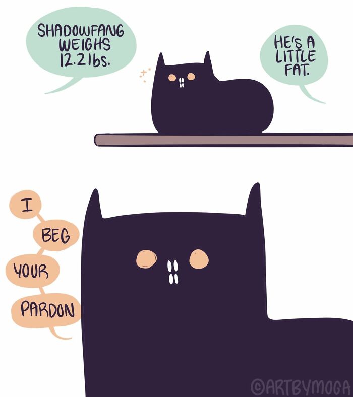 Meet Shadowfang: The Drama Queen Cat Who Turns Everyday Life Into A Comedy Show