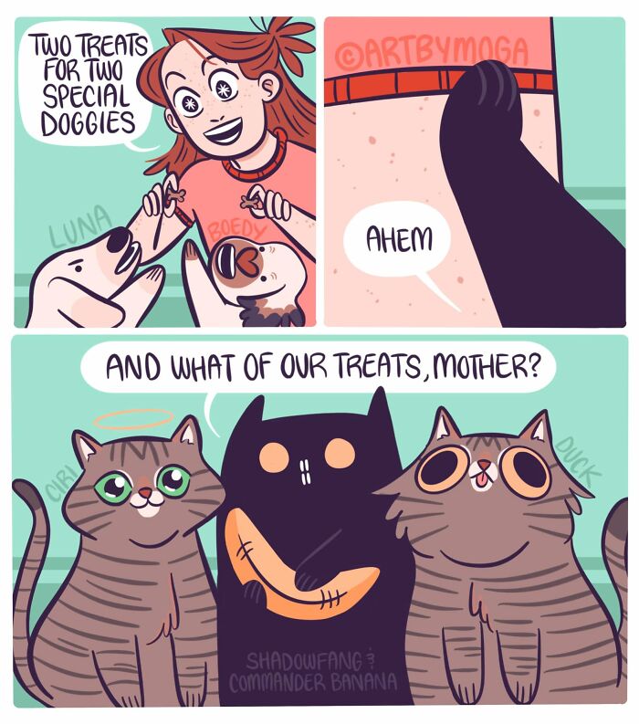 Meet Shadowfang: The Drama Queen Cat Who Turns Everyday Life Into A Comedy Show