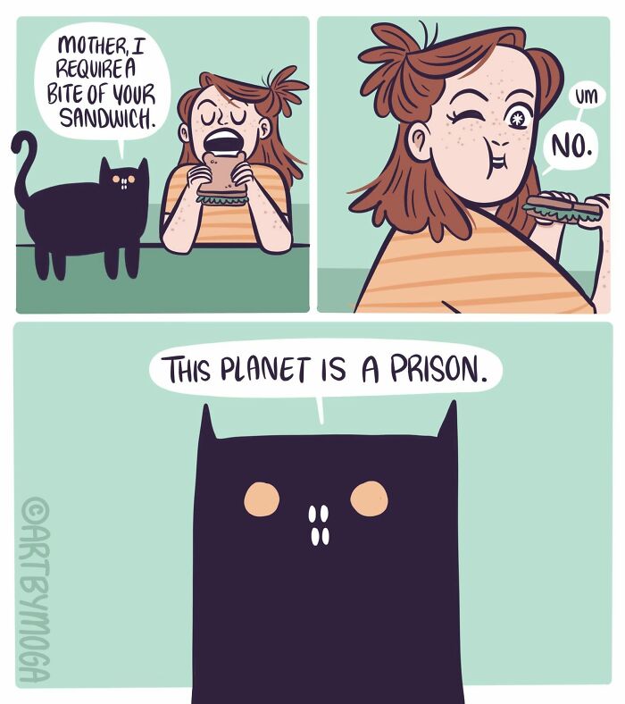 Meet Shadowfang: The Drama Queen Cat Who Turns Everyday Life Into A Comedy Show