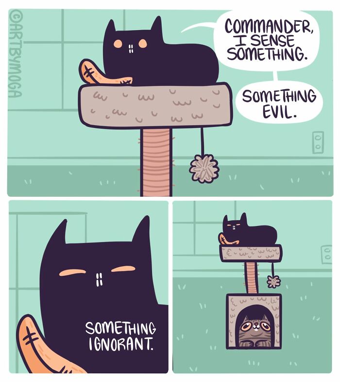 Meet Shadowfang: The Drama Queen Cat Who Turns Everyday Life Into A Comedy Show