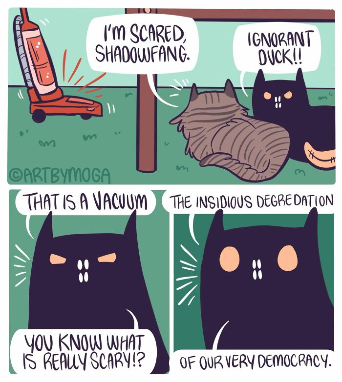 Meet Shadowfang: The Drama Queen Cat Who Turns Everyday Life Into A Comedy Show