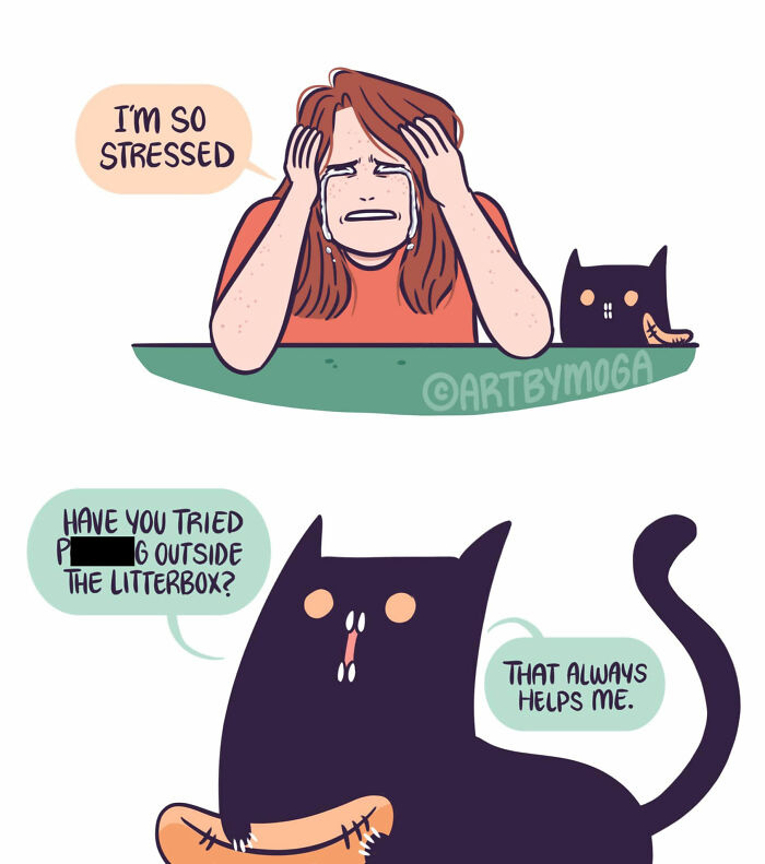Meet Shadowfang: The Drama Queen Cat Who Turns Everyday Life Into A Comedy Show