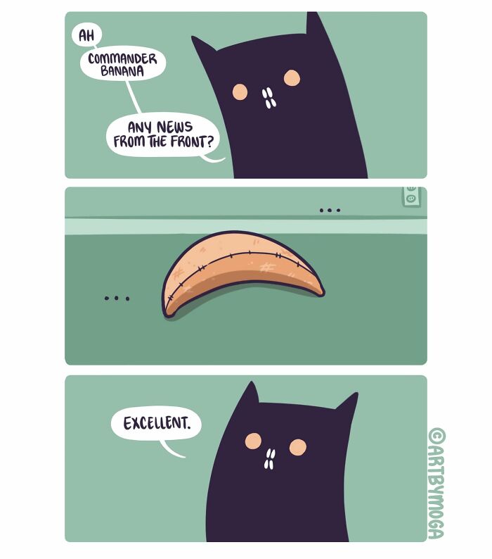 Meet Shadowfang: The Drama Queen Cat Who Turns Everyday Life Into A Comedy Show