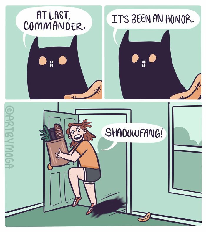 Meet Shadowfang: The Drama Queen Cat Who Turns Everyday Life Into A Comedy Show