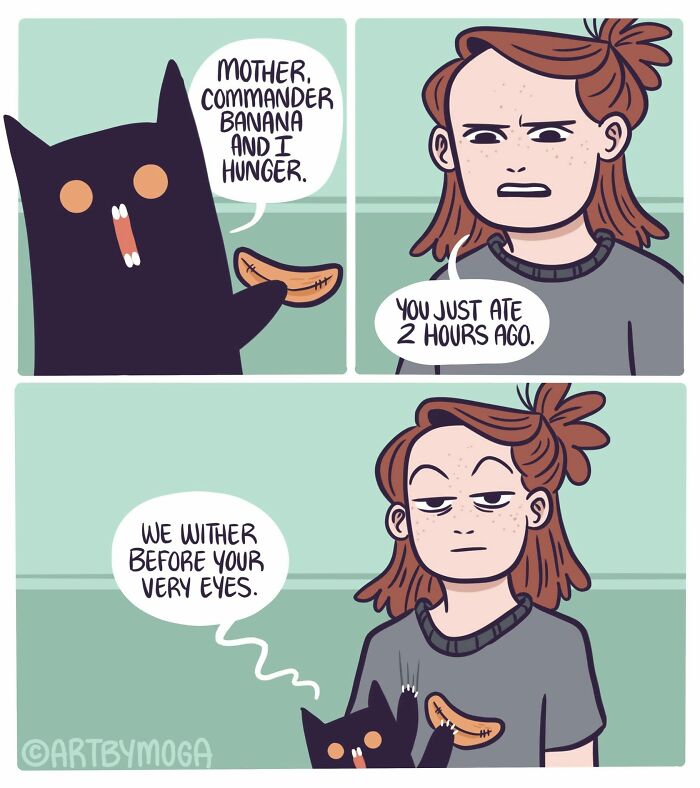 Meet Shadowfang: The Drama Queen Cat Who Turns Everyday Life Into A Comedy Show