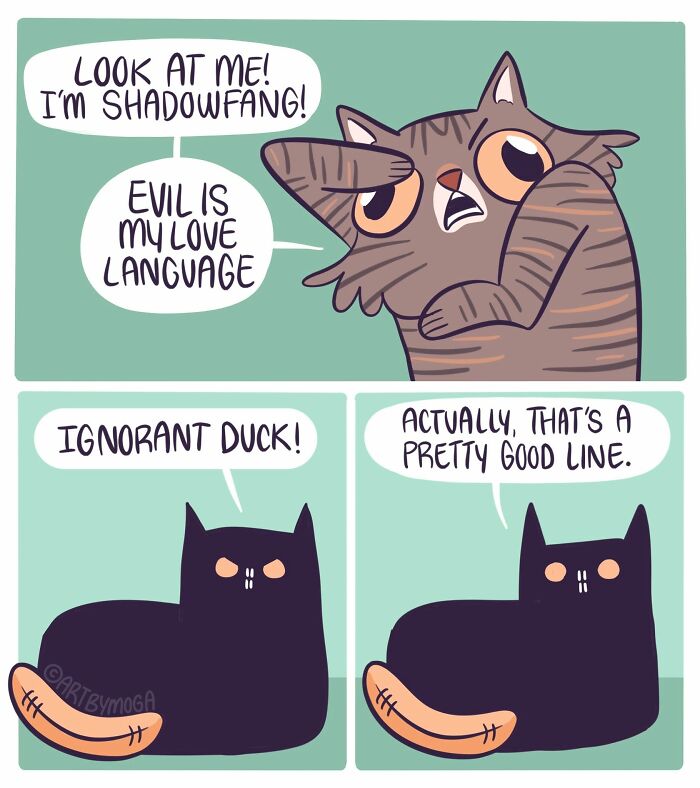Meet Shadowfang: The Drama Queen Cat Who Turns Everyday Life Into A Comedy Show