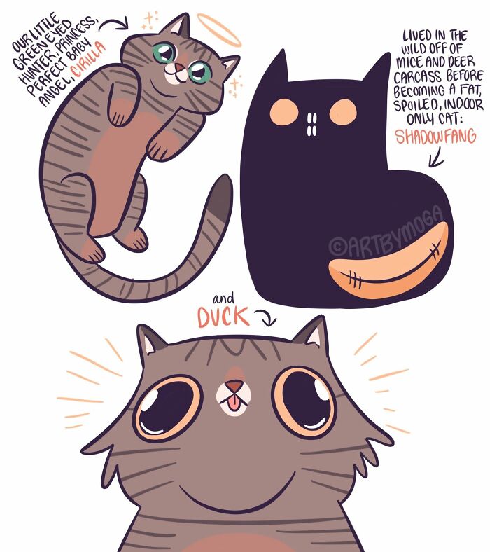 Meet Shadowfang: The Drama Queen Cat Who Turns Everyday Life Into A Comedy Show