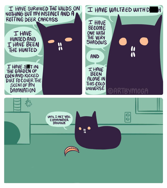 Meet Shadowfang: The Drama Queen Cat Who Turns Everyday Life Into A Comedy Show