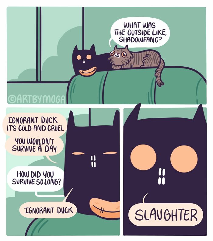Meet Shadowfang: The Drama Queen Cat Who Turns Everyday Life Into A Comedy Show