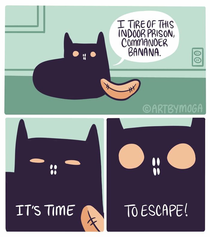 Meet Shadowfang: The Drama Queen Cat Who Turns Everyday Life Into A Comedy Show
