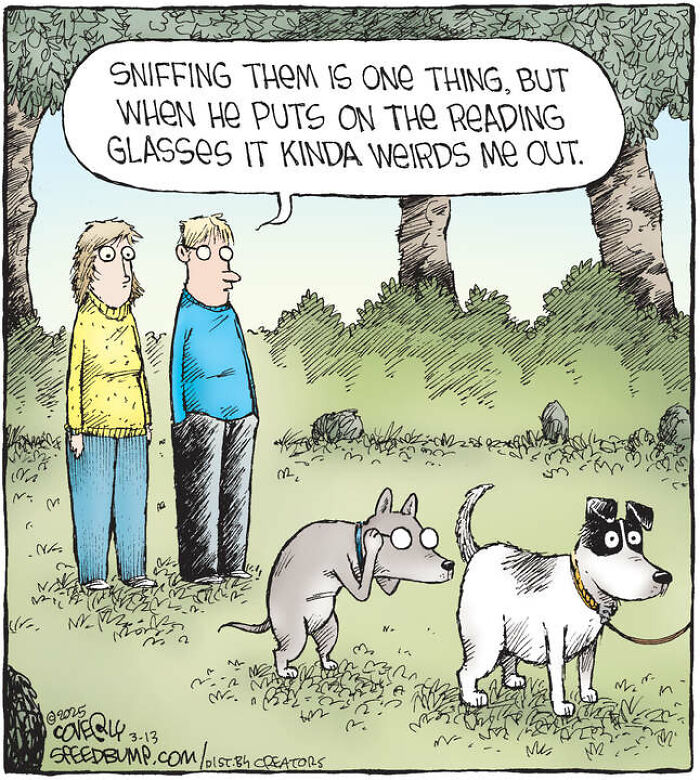 25 Hilarious Dog Comics That Show Why Life With Pups Is a Comedy Show