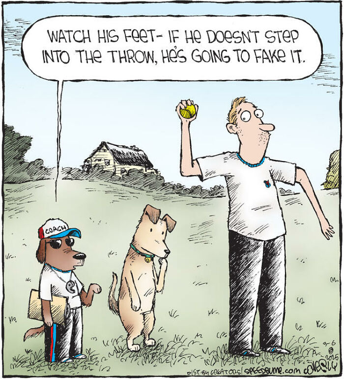 25 Hilarious Dog Comics That Show Why Life With Pups Is a Comedy Show