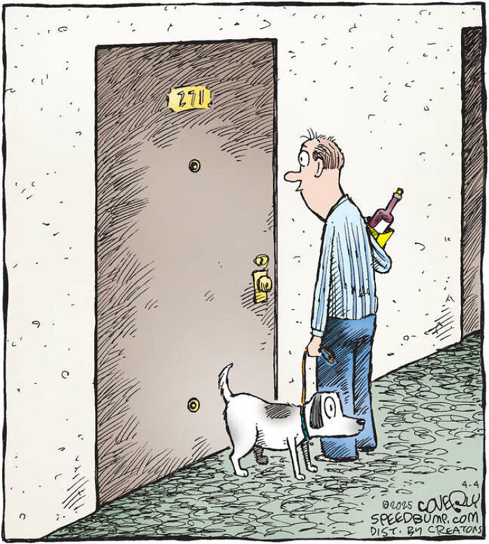 25 Hilarious Dog Comics That Show Why Life With Pups Is a Comedy Show